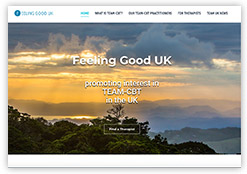 Feeling Good UK CBT Practitioners website, on the Health and Beauty portfolio