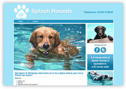 Splash Hounds dogs swimming pool website